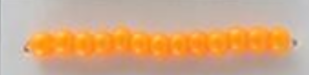 Seed Beads Size 11/0 - Torrid